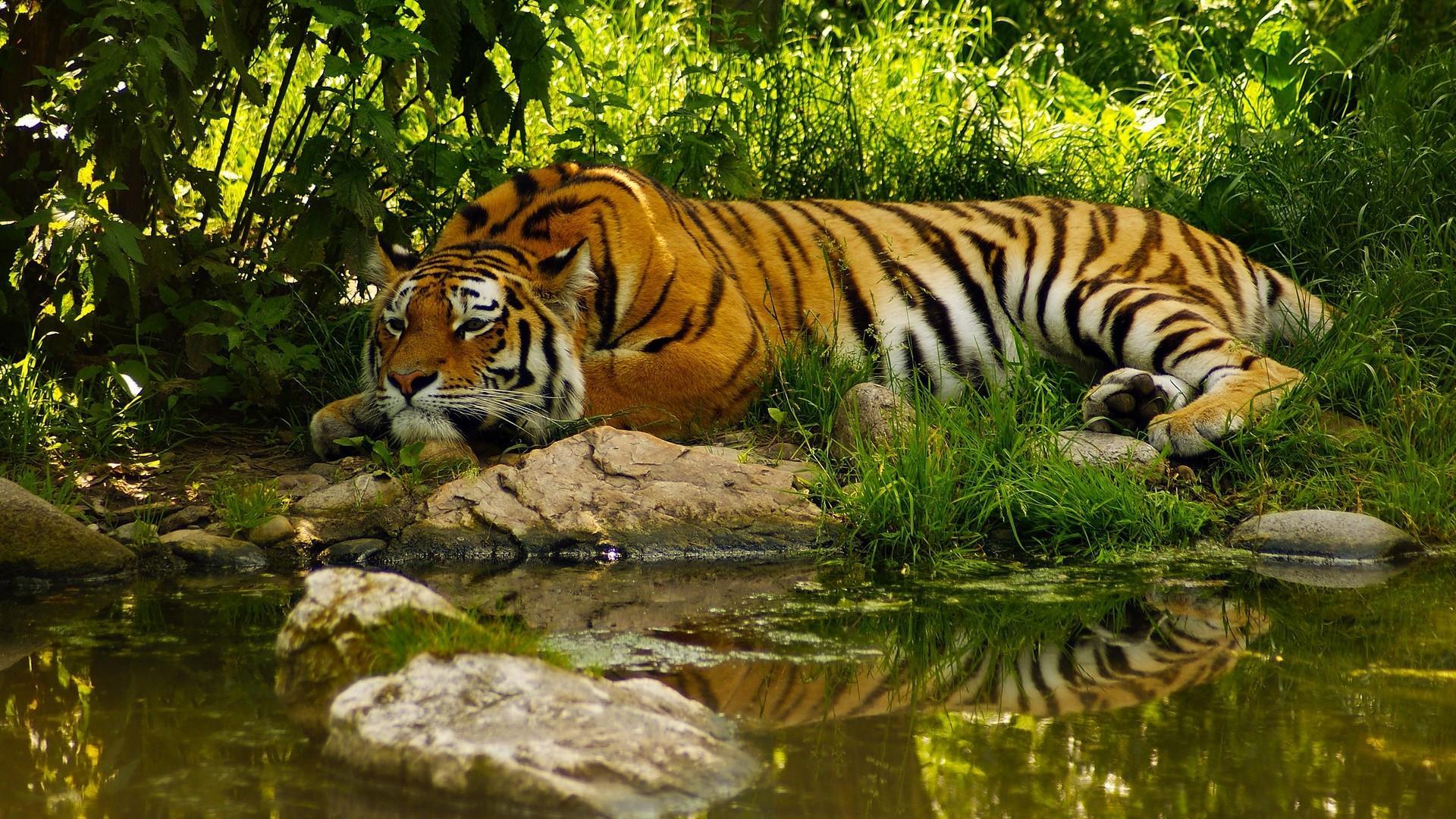 Sundarban (2 Nights 3 Days)